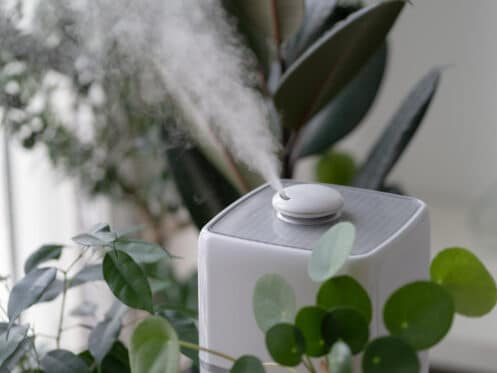 humidifier